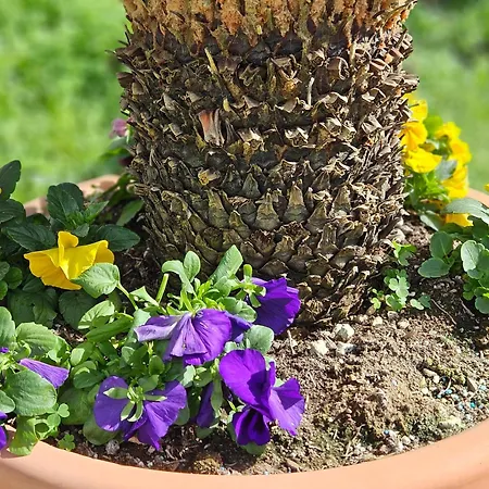 Apartamento Superior