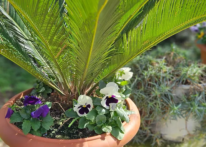 Superior Apartament *